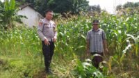 Bhabinkamtibmas Turun ke Desa, Warga Siap Tanam Jagung