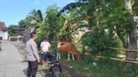 Sosialisasi Pangan Sehat: Bhabinkamtibmas Ajak Warga Tanam Sayur