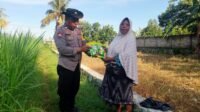 Ketahanan Pangan Desa: Polsek Labuapi Turun Tangan Salurkan Bibit Jagung Unggul