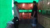 Menggerakkan Ketahanan Pangan, Bhabinkamtibmas Jagaraga Kunjungi Peternak Ayam Mandiri