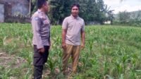 Ketahanan Pangan Jadi Misi Polsek Kuripan Bangun Silaturahmi