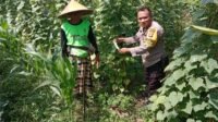 Polsek Labuapi Dukung Ketahanan Pangan, Bhabinkamtibmas Ajak Warga Manfaatkan Lahan Kosong