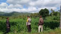 Perhatian Polri untuk Petani Lombok Barat: Edukasi dan Pendampingan Langsung