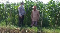 Bhabinkamtibmas Sosialisasi Pemanfaatan Lahan Kosong untuk Pangan