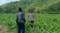 Kunjungan DDS: Ketahanan Pangan dan Kamtibmas Jadi Fokus Polisi Sekotong