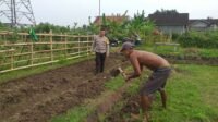 Lahan Pekarangan di Jagaraga Jadi Solusi Ketahanan Pangan