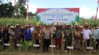 Dukungan Penuh Polri dan Pemda dalam Panen Raya Jagung NTB