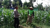 Dukung Ketahanan Pangan, Polisi Ajak Petani Manfaatkan Lahan Kosong