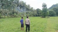 Bhabinkamtibmas Cendi Manik Dorong Ketahanan Pangan Lewat Kunjungan ke Petani