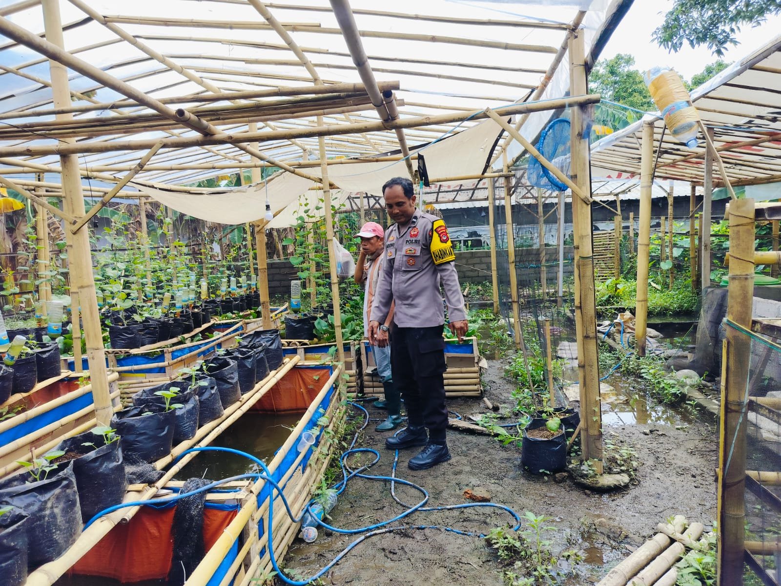 Bhabinkamtibmas Desa Bajur Dorong Kemandirian Pangan Warga Tempit