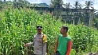 Bhabinkamtibmas Sekotong Dorong Pemanfaatan Pekarangan untuk Ketahanan Pangan