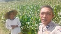 Dukungan Polri di Eyat Mayang, Petani Jagung Tak Sendiri