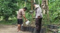 Polsek Batulayar Dorong Kemandirian Pangan Lewat Program Pekarangan di Dusun Orong