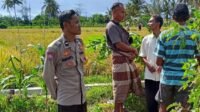 Peran Polisi di Tengah Sawah: Ketahanan Pangan Dimulai dari Dusun Rumak Barat