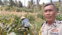 Bhabinkamtibmas Desa Batu Putih Dorong Pemanfaatan Lahan Petani di Dusun Tibu Baru