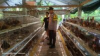 Polres Lombok Barat Perkuat Sinergi dengan Warga Kuripan Utara dalam Program Ketahanan Pangan