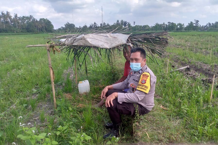 Sinergi Polri dan Petani di Dusun Tambang Eleh, Lombok Barat Wujudkan Desa Mandiri Pangan