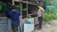 Sinergi Polri dan Warga Senggigi, Tanam Sayuran di Lahan Kosong untuk Perkuat Ekonomi Keluarga (1) Sinergi Polri dan Warga Senggigi, Tanam Sayuran di Lahan Kosong untuk Perkuat Ekonomi Keluarga
