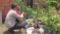 Sinergi Polsek Labuapi dan Warga Mapak Reong Dorong Pemanfaatan Pekarangan Produktif