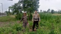 Bhabinkamtibmas Terong Tawah Dorong Pemanfaatan Pekarangan untuk Ketahanan Pangan