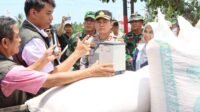 Lombok Barat Produksi 20 Ton Jagung dalam Panen Serentak, Bulog Pastikan Serap Hasil Petani