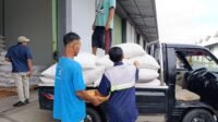 Bulog Mataram Serap 3,4 Ton Jagung Petani Gerung dengan Pengawalan Polisi