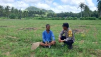Bhabinkamtibmas Pelangan Gerakkan Warga Tanam Jagung untuk Ketahanan Pangan