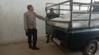 Polisi Turun ke Ladang, Pastikan Jagung Petani Lembar Terserap BULOG